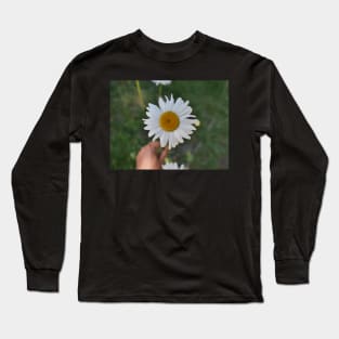 Daisy flower with its yellow disk Long Sleeve T-Shirt